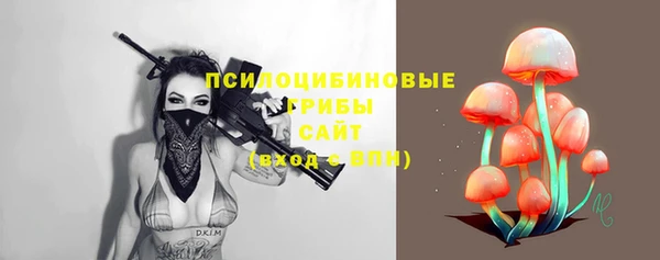 спиды Липки